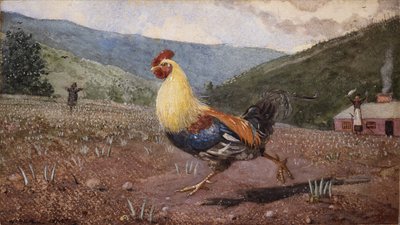 The Rooster by Winslow Homer